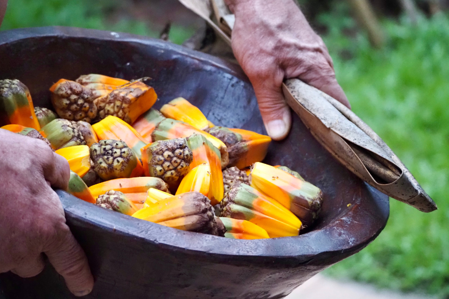 Accommodation in Katoomba, NSW 2780