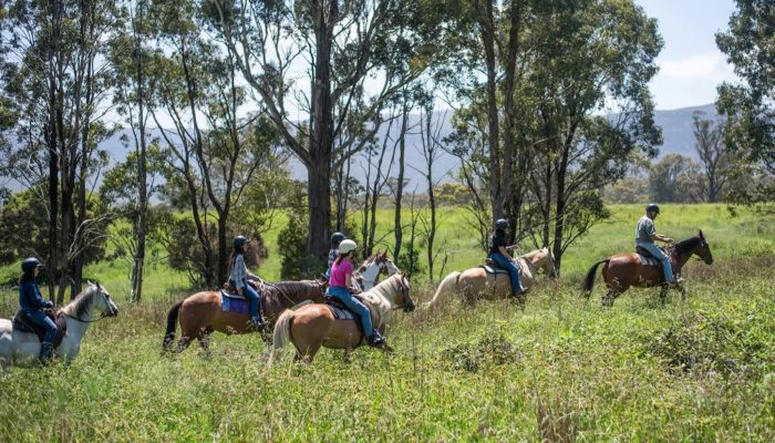 Horse riding at Centenial Glen Stables in the Blue Mountains.
