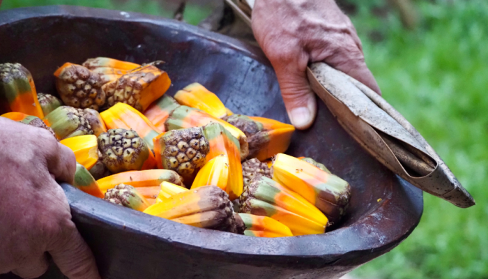 Bush-Tucker-Tour (1)