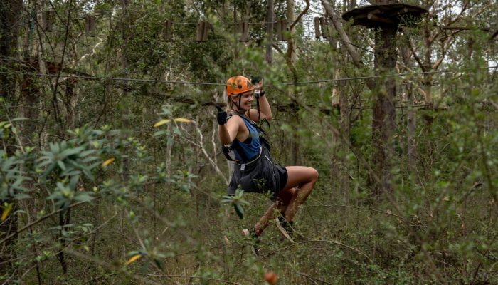 StayKCC activity - high ropes at Treetops Adventures in Western Sydney