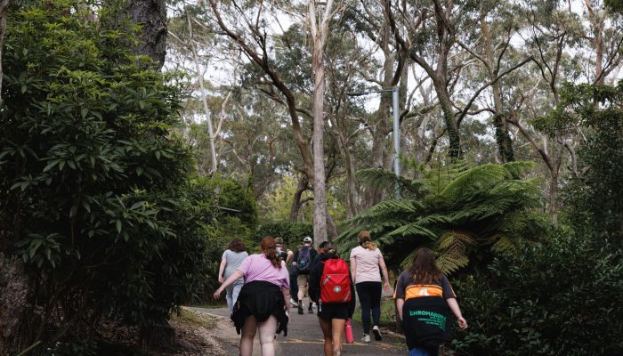 StayKCC-teams-work-together-on the-amazing-scenic-race-Blue-Mountains